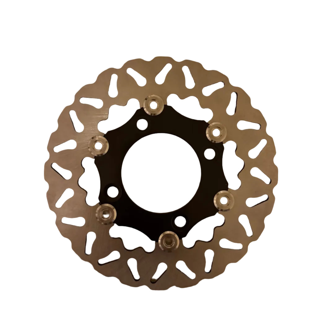 Upgraded Rear Brake Kit