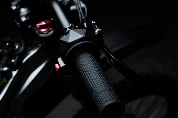 79BIKE-Falcon Pro (5-Day Shipping)