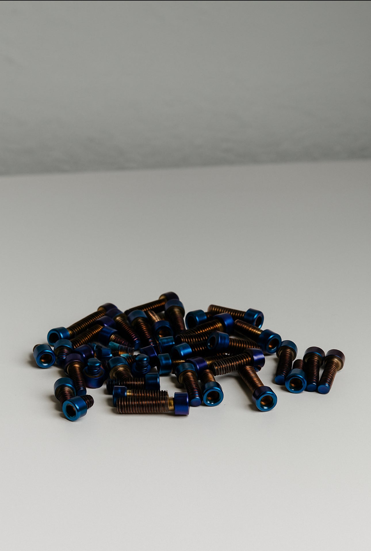 Titanium Fork Mount Bolts