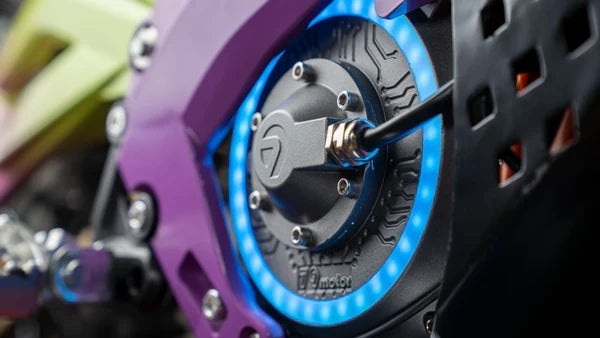 79BIKE-Falcon Pro (5-Day Shipping)
